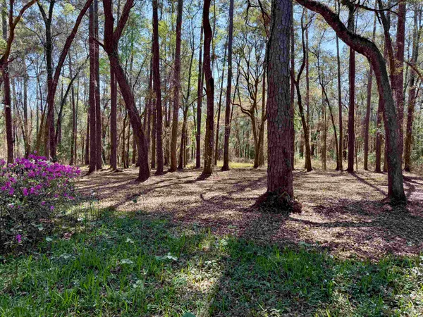 $469,000 | 241 Old Dirt Road, Tallahassee, FL 32317