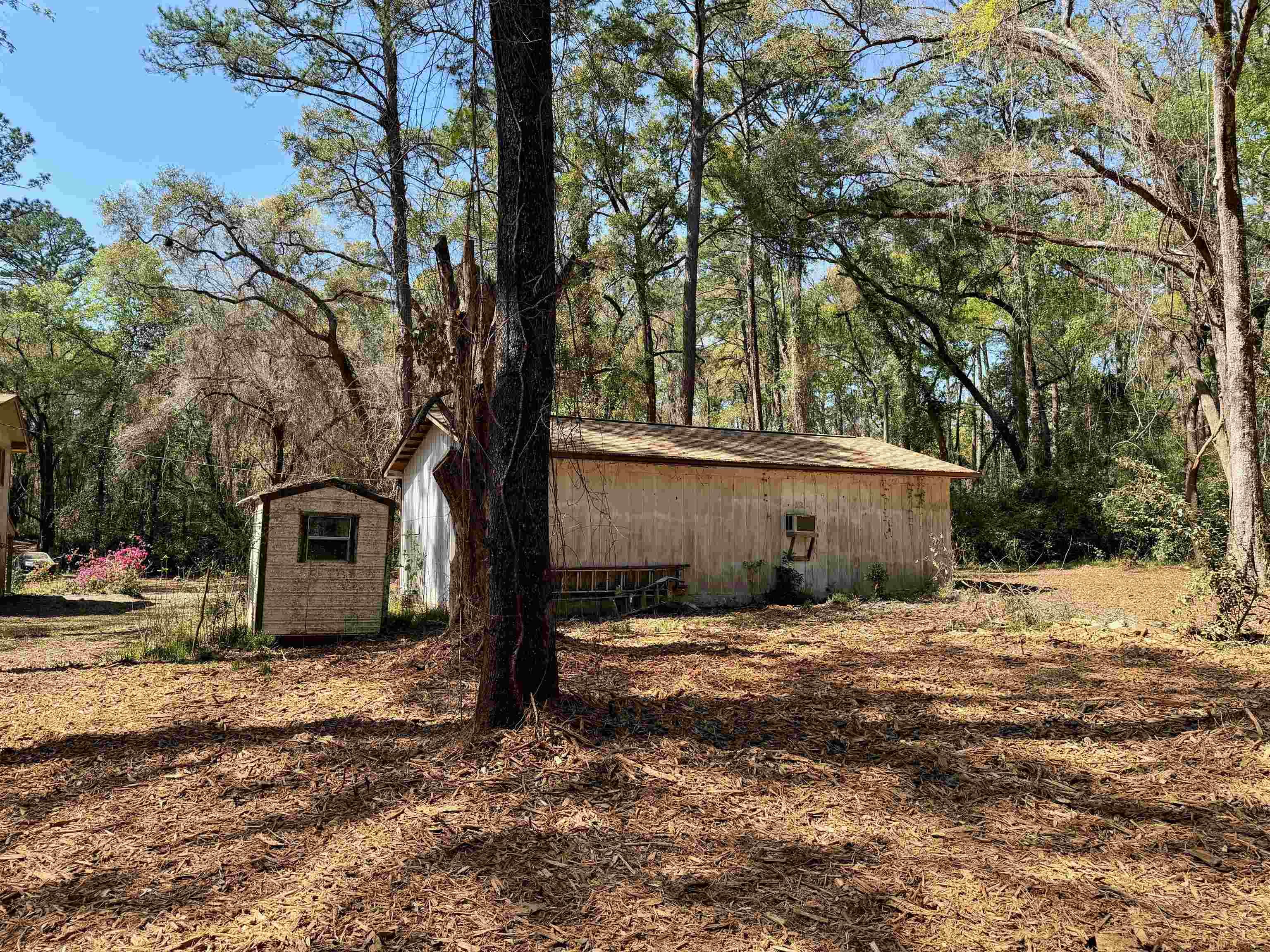 241 Old Dirt Road Tallahassee, FL 32317 - Photo 34 of 41