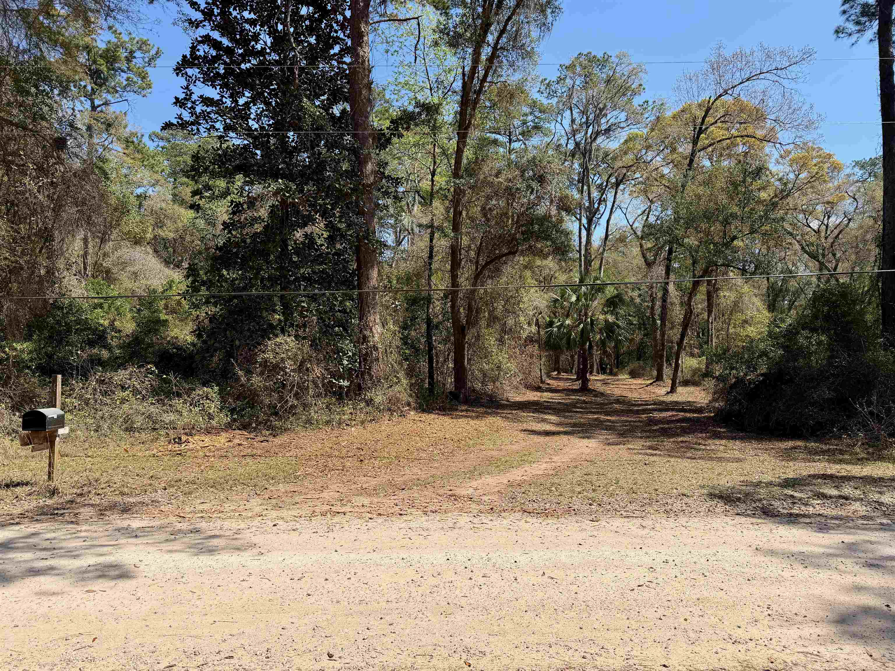 241 Old Dirt Road Tallahassee, FL 32317 - Photo 39 of 41