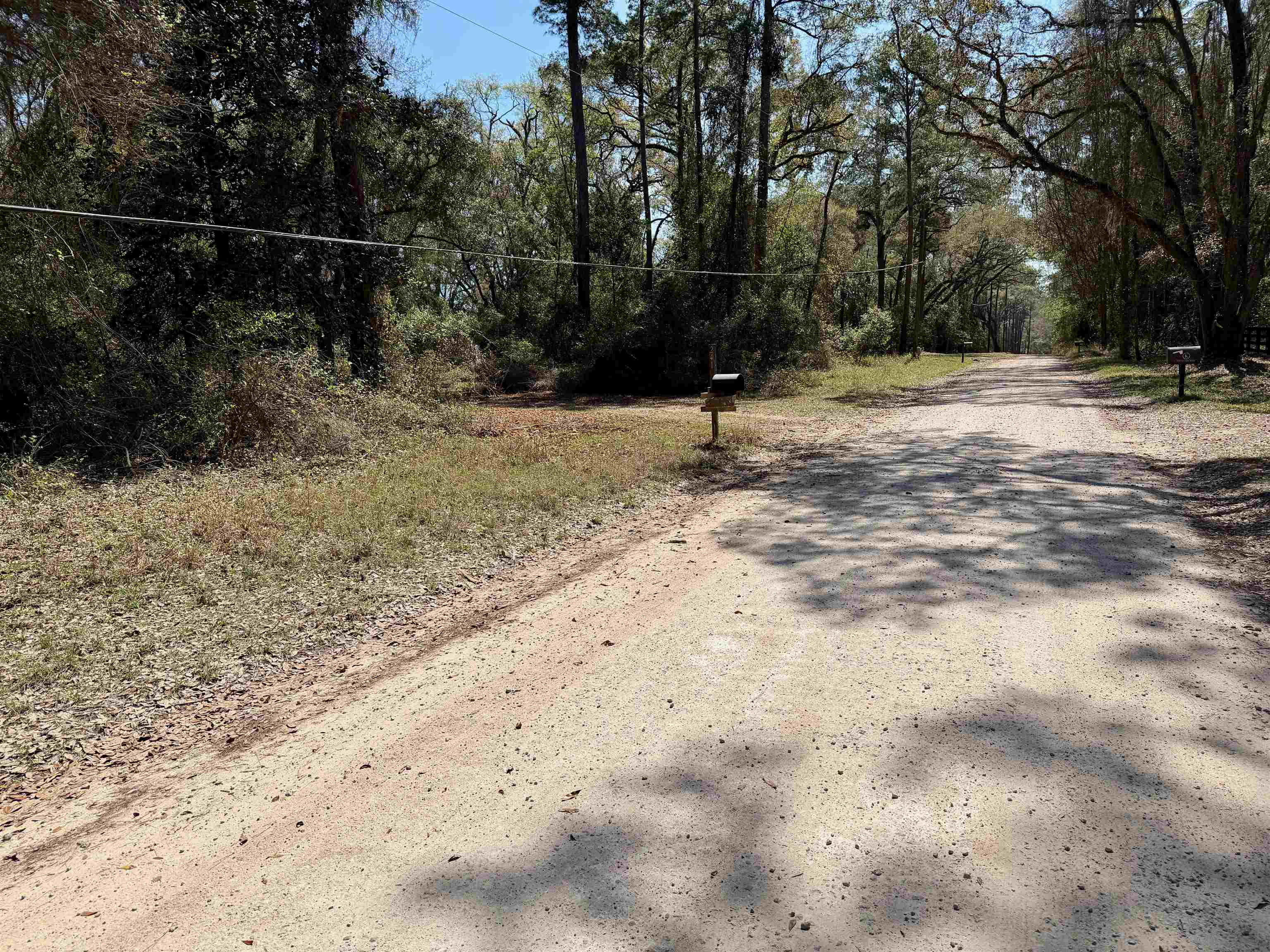 241 Old Dirt Road Tallahassee, FL 32317 - Photo 41 of 41