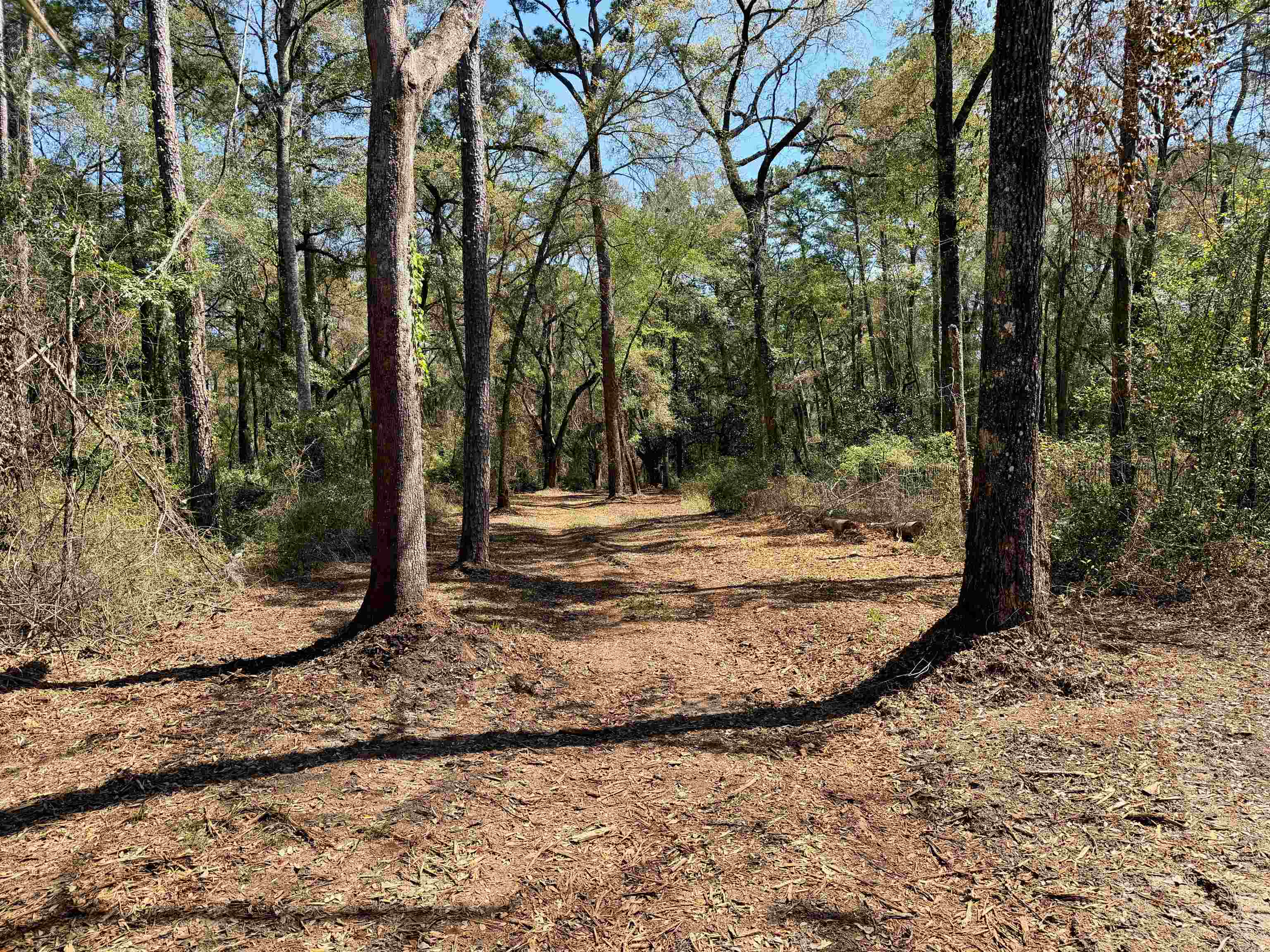 241 Old Dirt Road Tallahassee, FL 32317 - Photo 7 of 41