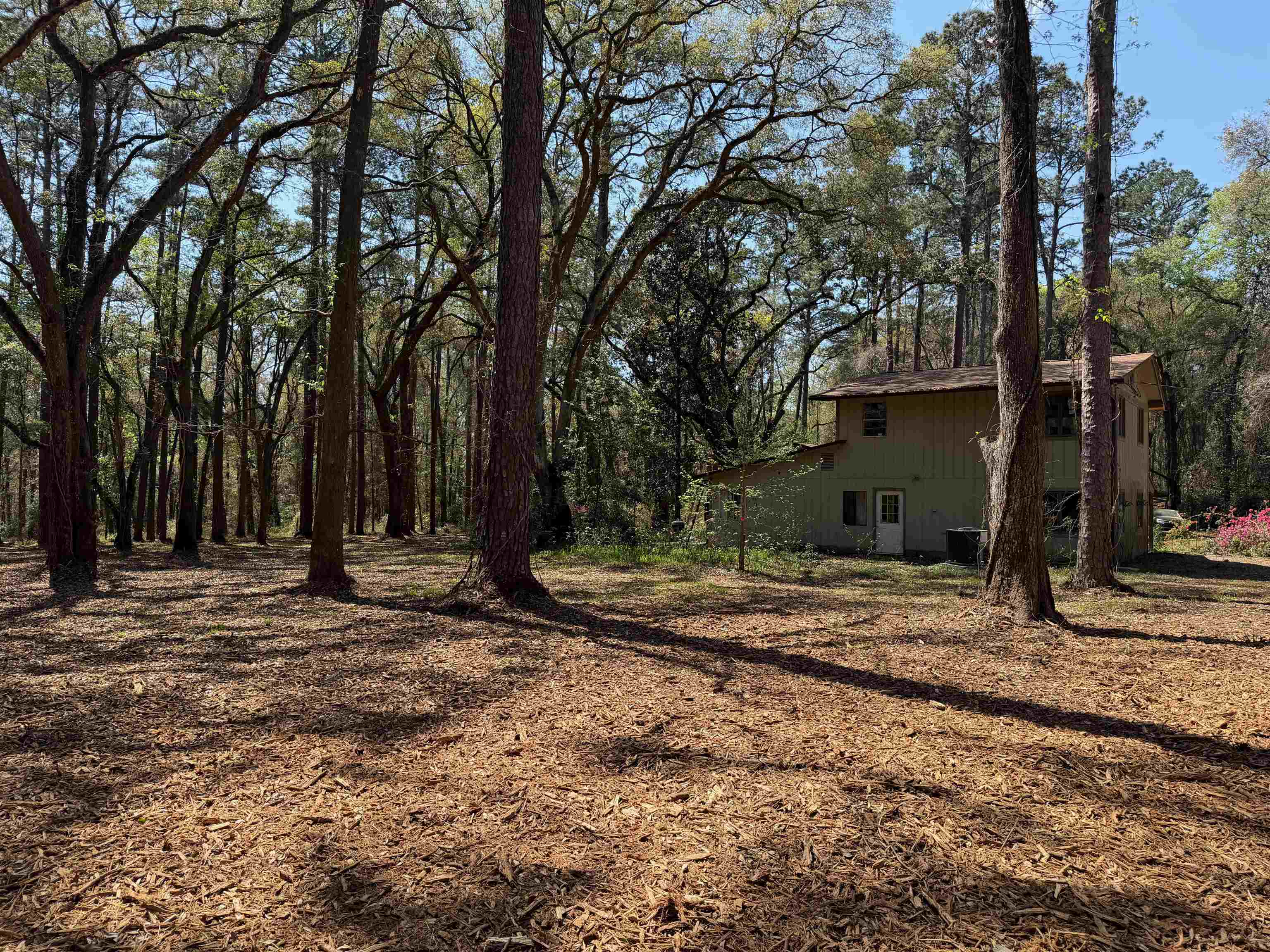 241 Old Dirt Road Tallahassee, FL 32317 - Photo 9 of 41