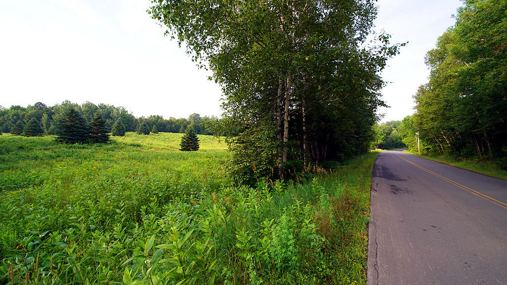 Lot 9-1 New Limerick Road Houlton, ME 04730 - Photo 18 of 40 leisner-maine-land-3