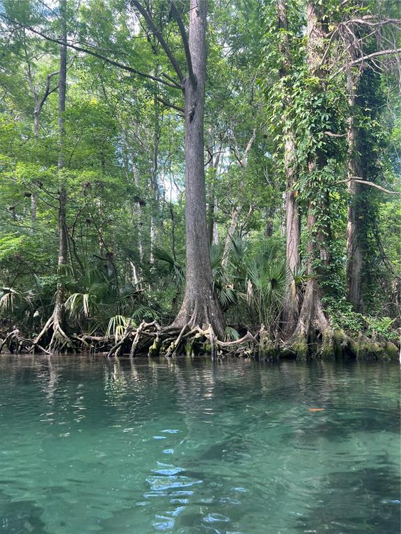 0 Waverly Road Weeki Wachee, FL 34607 - Photo 5 of 10 a view of lake