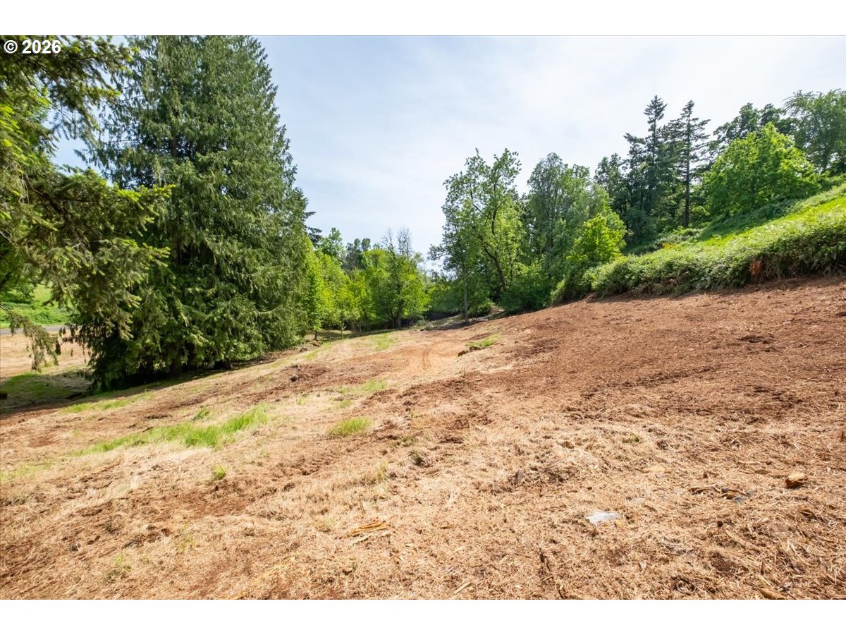 3835 Edison Road Northeast Silverton, OR 97381 - Photo 6 of 39