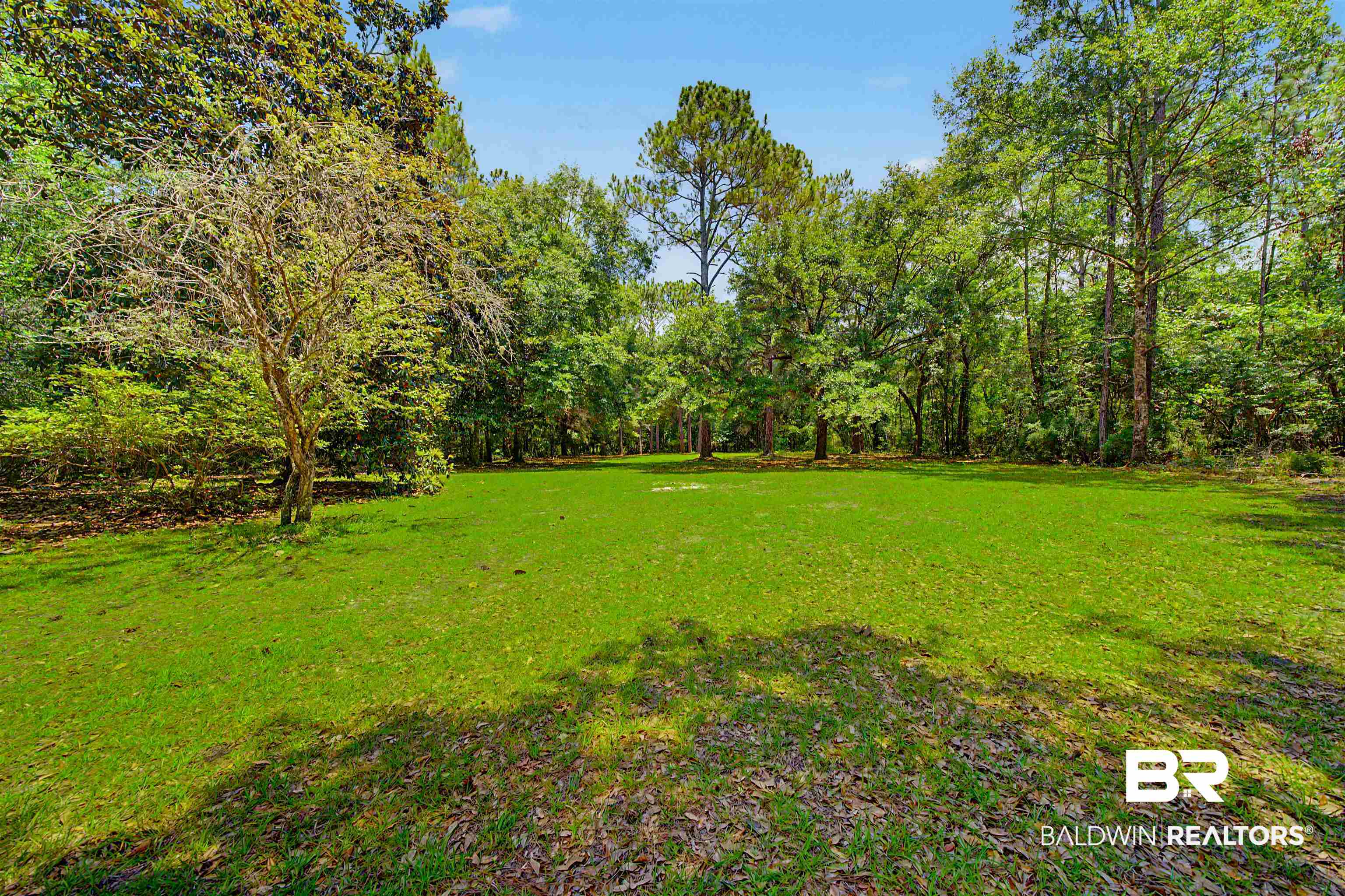 22963 Highway 98 Foley, AL 36535 - Photo 44 of 52 Expansive grassy area bordered by mature trees and lush foliage, offering ample open space