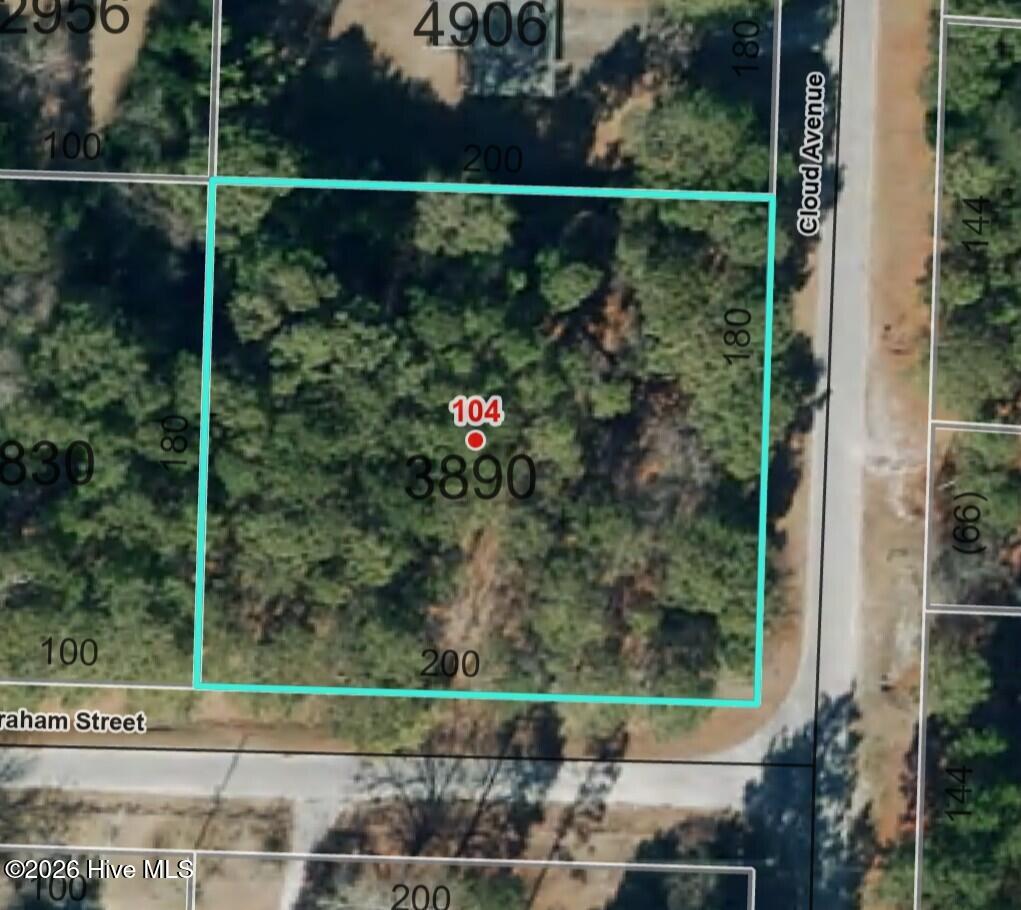 104 Graham Street Hamlet, NC 28345 - Photo 1 of 5 104 Graham St - Aerial View