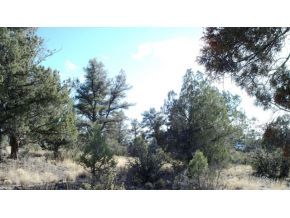 20608 North Las Vegas Ranch Road Prescott, AZ 86305 - Photo 3 of 9 Additional Photo