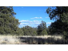 20608 North Las Vegas Ranch Road Prescott, AZ 86305 - Photo 4 of 9 Additional Photo