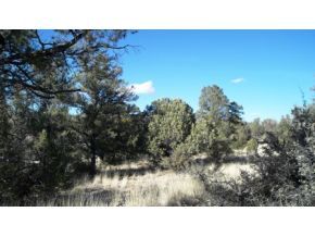20608 North Las Vegas Ranch Road Prescott, AZ 86305 - Photo 6 of 9 Additional Photo