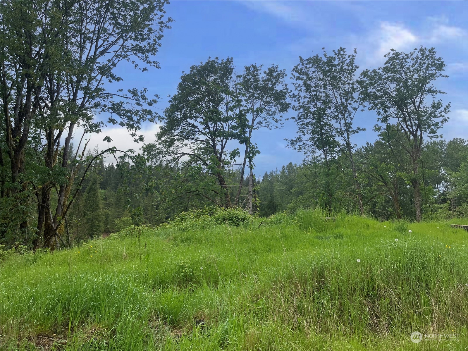 36201 Mann Road Sultan, WA 98294 - Photo 1 of 4 a view of a lush green space