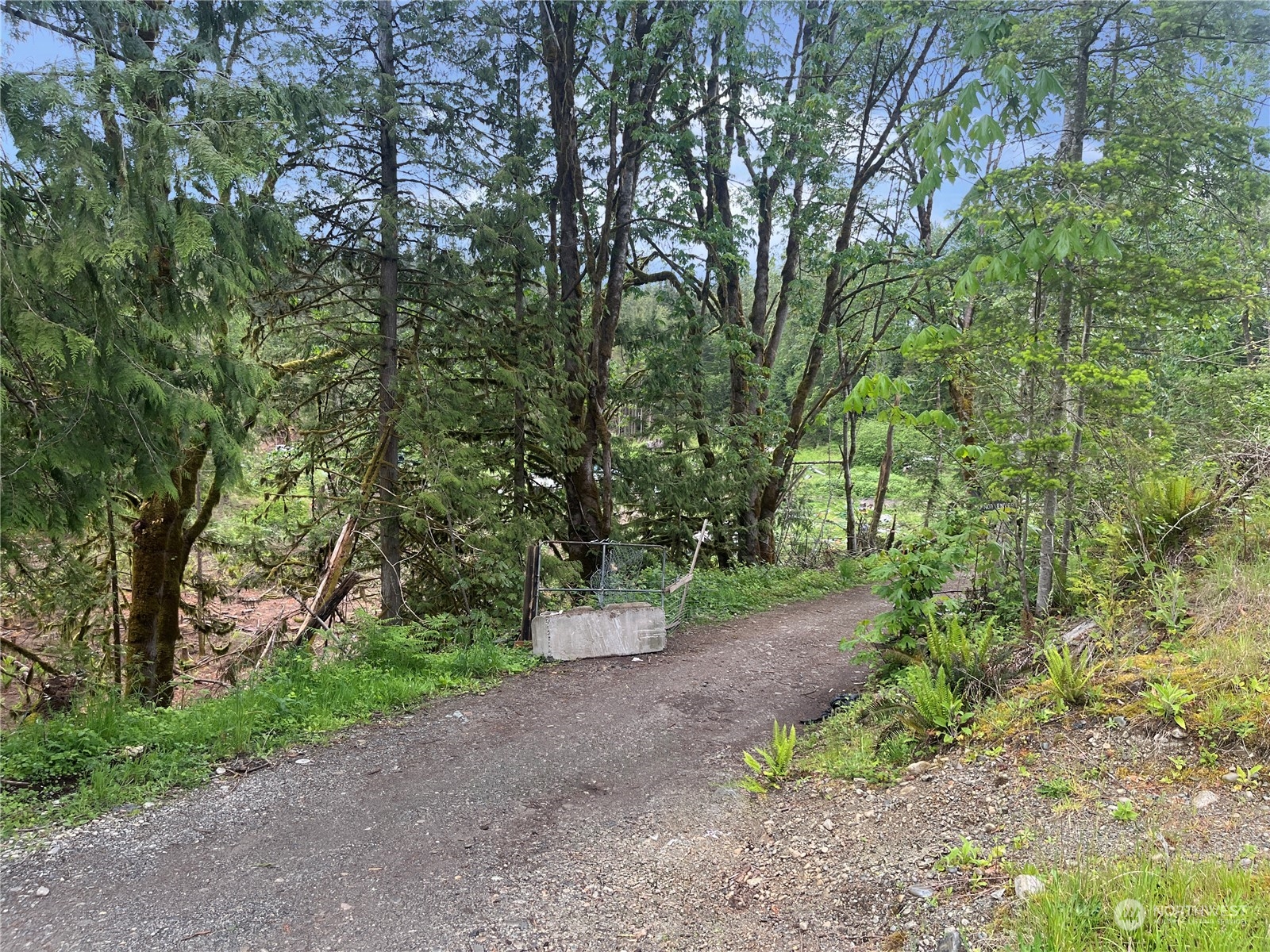 36201 Mann Road Sultan, WA 98294 - Photo 3 of 4 a big yard with flowing stream of water in middle