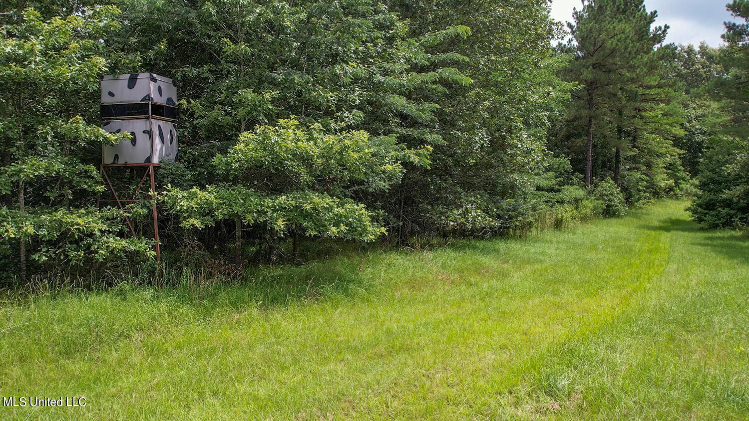 6300 Highway 22 Edwards, MS 39066 - Photo 4 of 54 Hunting Deer Stand 1500