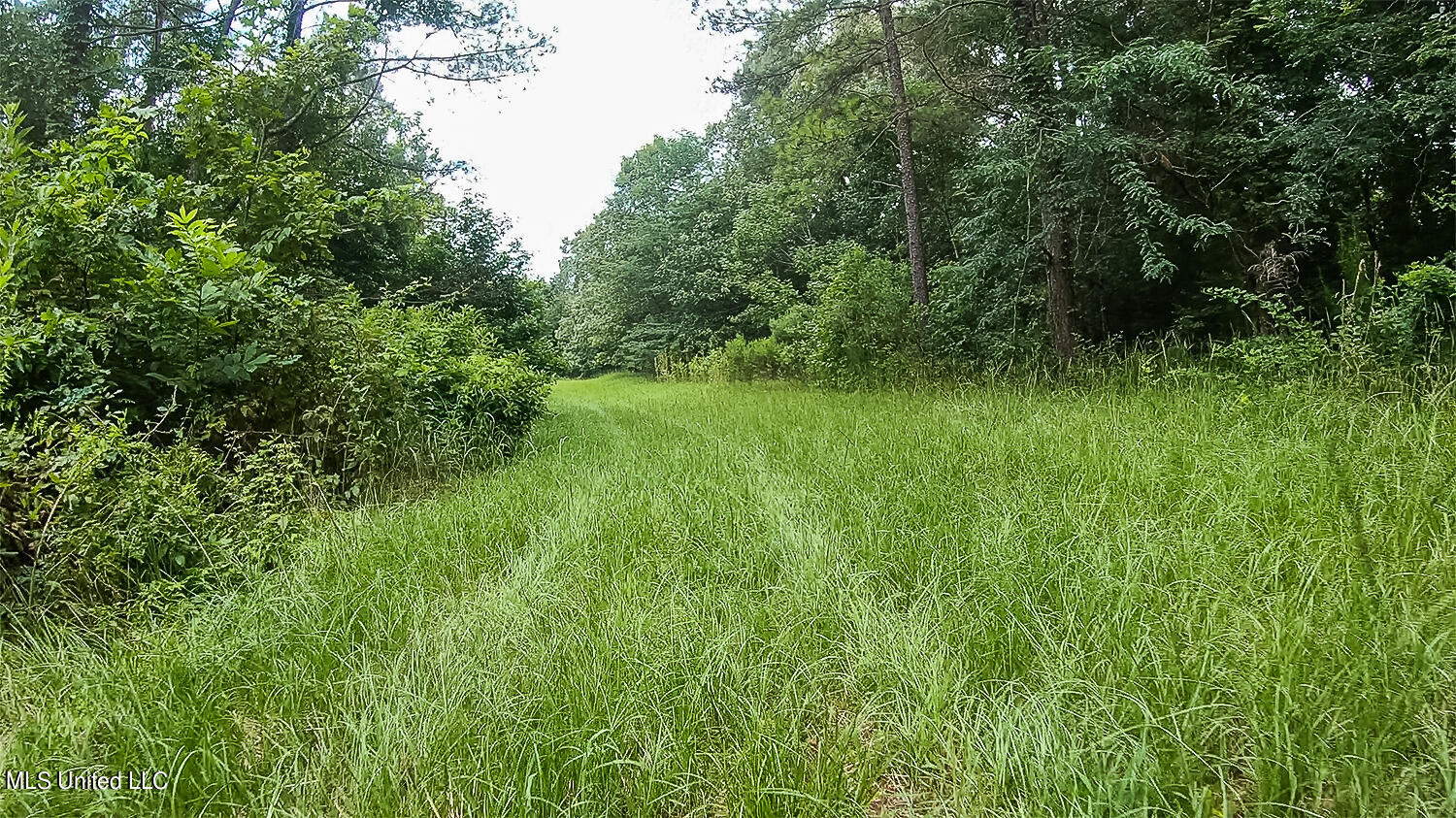 6300 Highway 22 Edwards, MS 39066 - Photo 54 of 54 20210804-Roads 1