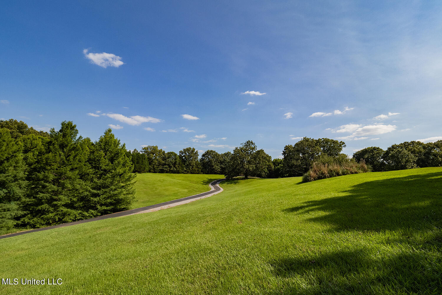 6300 Highway 22 Edwards, MS 39066 - Photo 6 of 54 Large Oak At Front Gate 1500 x 1000