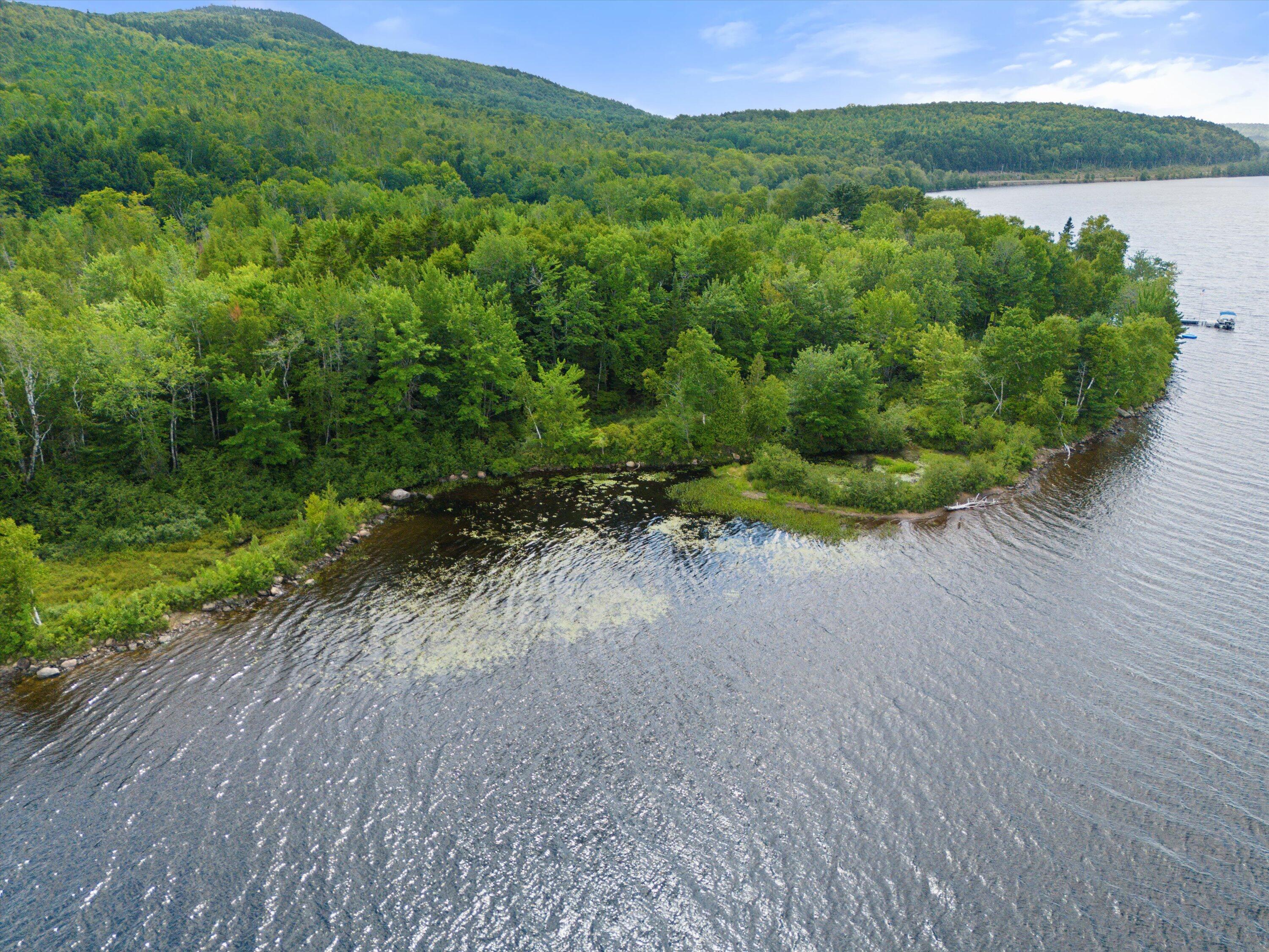 583 Lakeview Road Topsfield, ME 04490 - Photo 1 of 8 55-Waterfront Lot