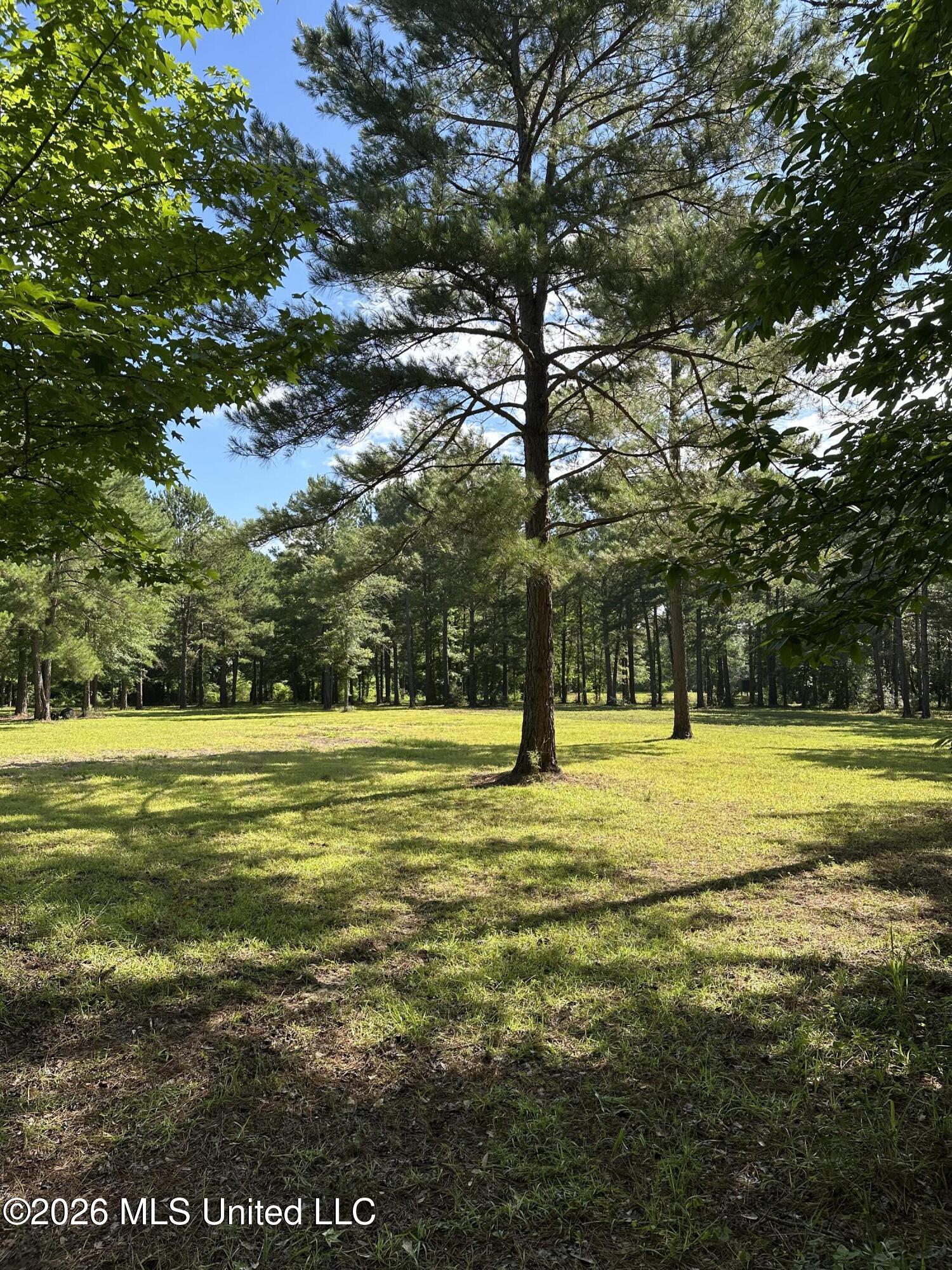135 Joe Booth Road Taylorsville, MS 39168 - Photo 6 of 22 IMG_5272