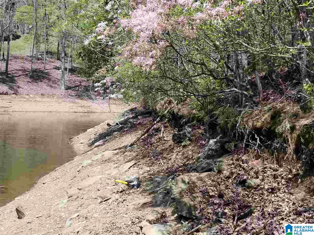 Lot 106 River Birch Road, Unit LOT 106 Wedowee, AL 36278 - Photo 12 of 14
