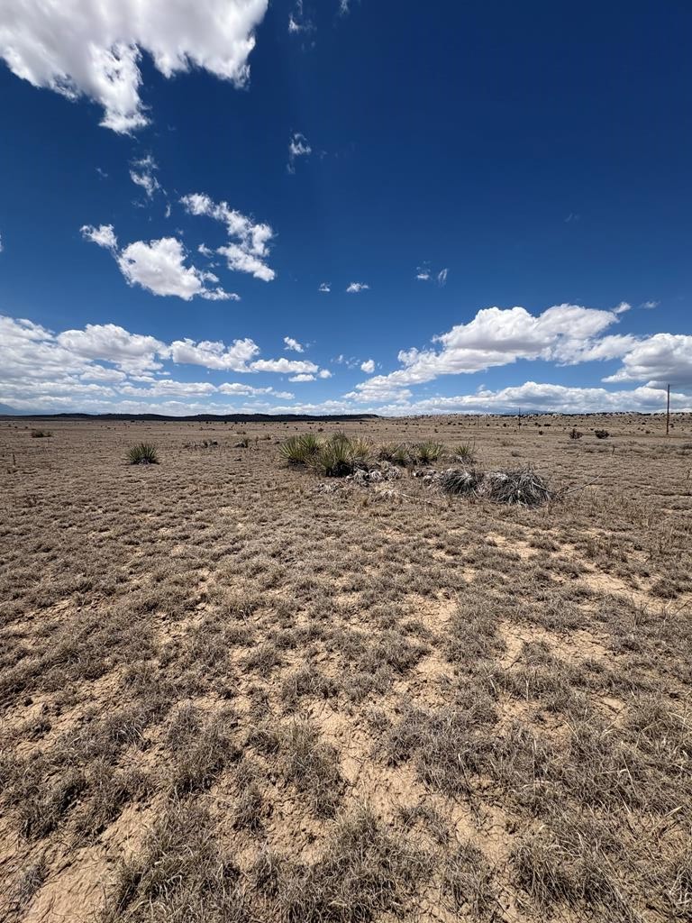 222-224 Turkey Ridge Ranch Walsenburg, CO 81089 - Photo 1 of 13