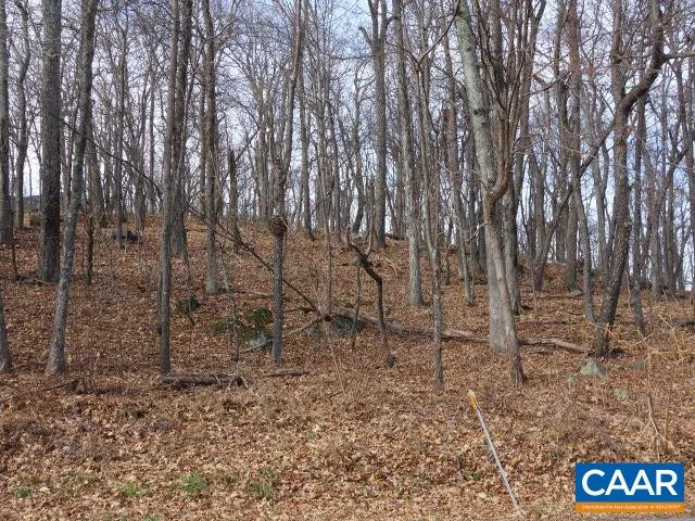 a view of a yard with trees