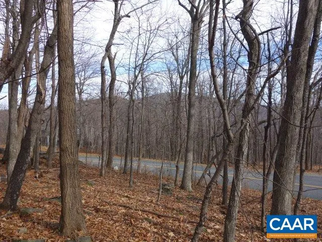 a view of outdoor space with lots of trees
