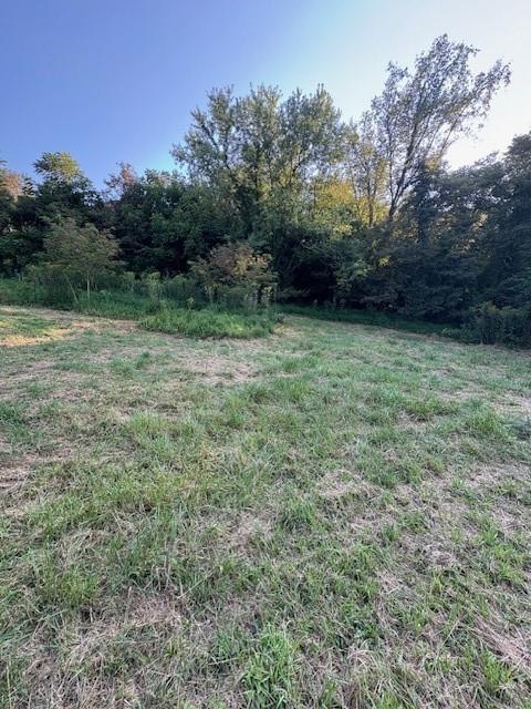 39 Harding Street Manor, PA 15665 - Photo 16 of 18 a view of outdoor space and yard
