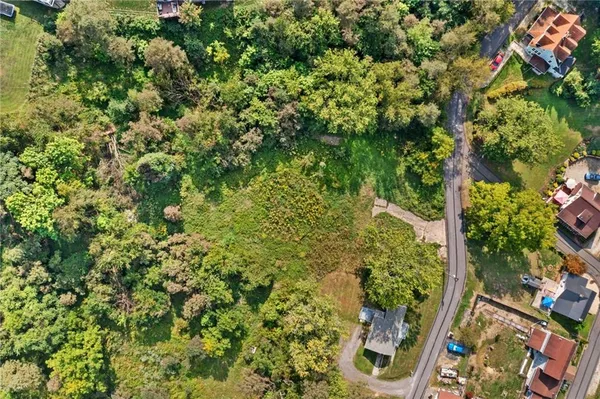 a view of a garden