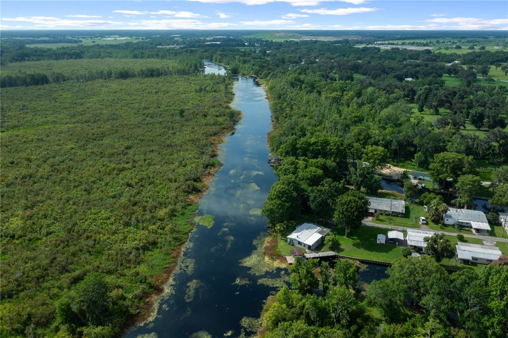 426 Northwest 5th Road Lake Panasoffkee, FL 33538 - Photo 44 of 51 a view of a lush green forest with lots of trees