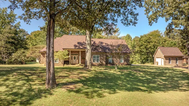 a view of a hallway with wooden floor and a potted plant