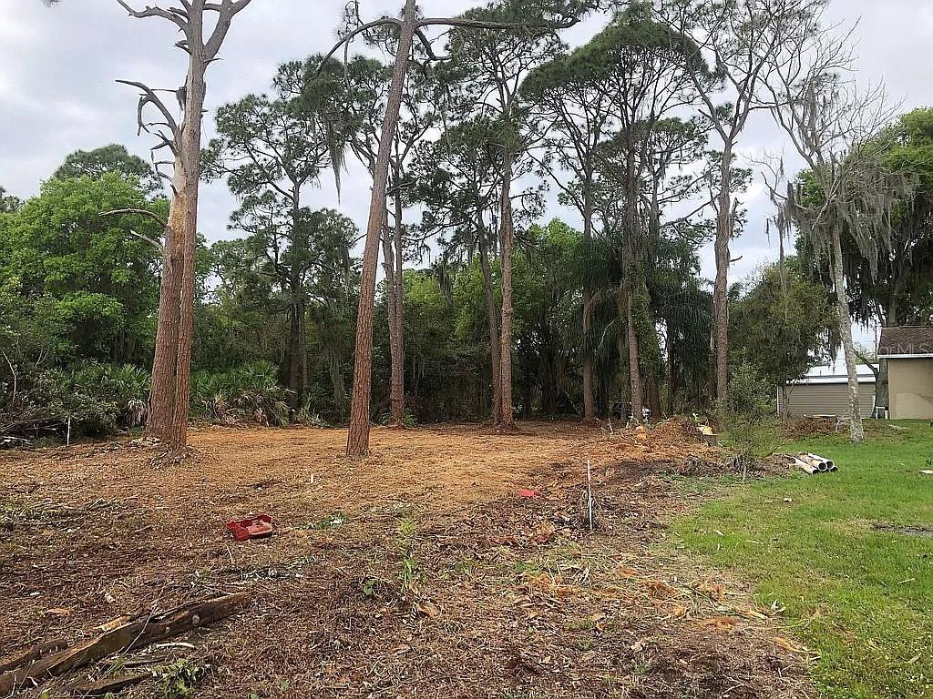 674 Nemo Drive Sebring, FL 33870 - Photo 3 of 5 a fire hydrant in the middle of a field