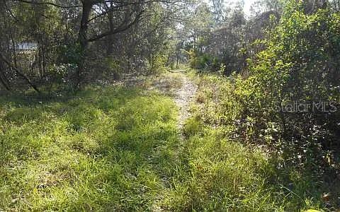674 Nemo Drive Sebring, FL 33870 - Photo 4 of 5 a view of a yard with a tree