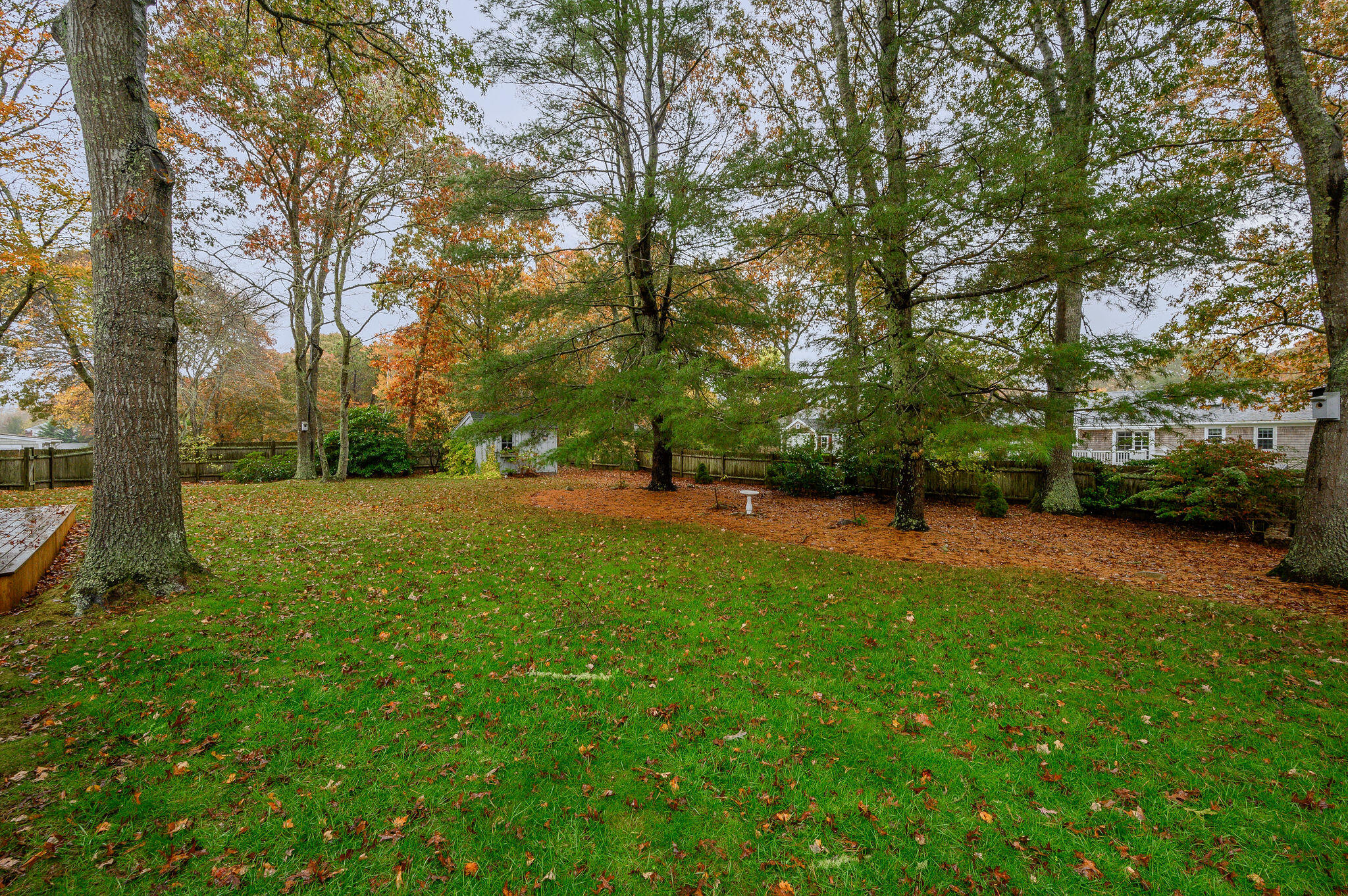 256 Buckskin Path Centerville, MA 02632 - Photo 34 of 38 a view of a park with large trees