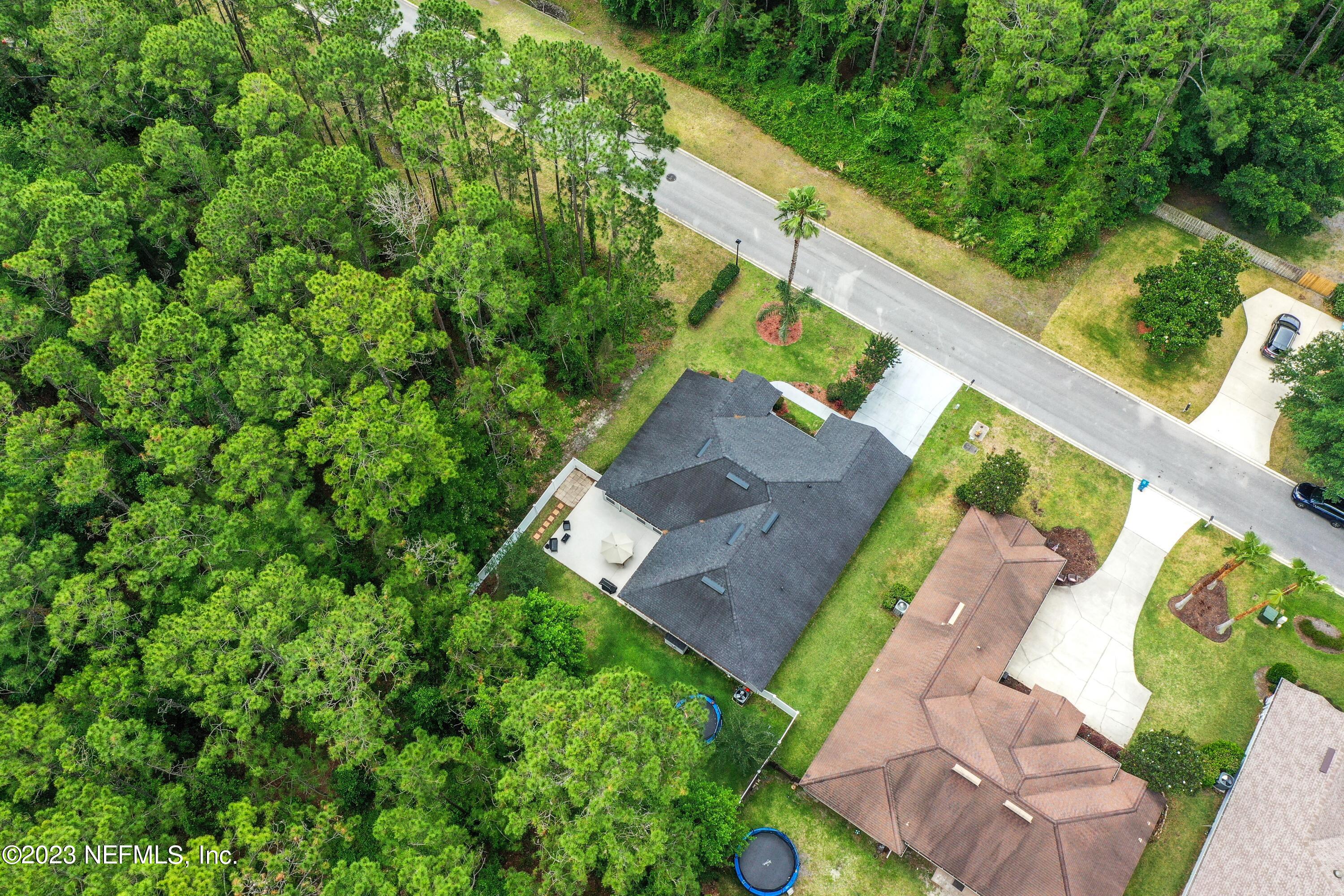 4100 Lonicera Loop St. Johns, FL 32259 - Photo 43 of 65 a view of a yard with potted plants