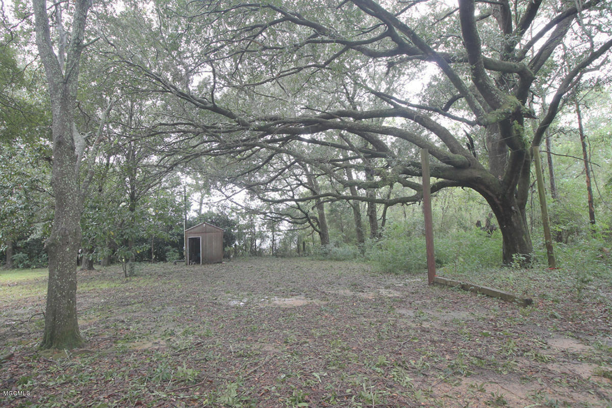2174 Cooks Corner Road Lucedale, MS 39452 - Photo 29 of 32 Backyard