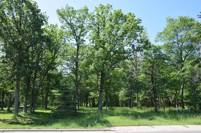 $28,500 | Tbd Power Dam Road Northeast, Bemidji, MN 56601