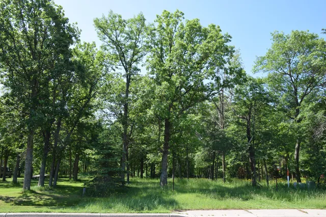 $28,500 | Tbd Power Dam Road Northeast, Bemidji, MN 56601