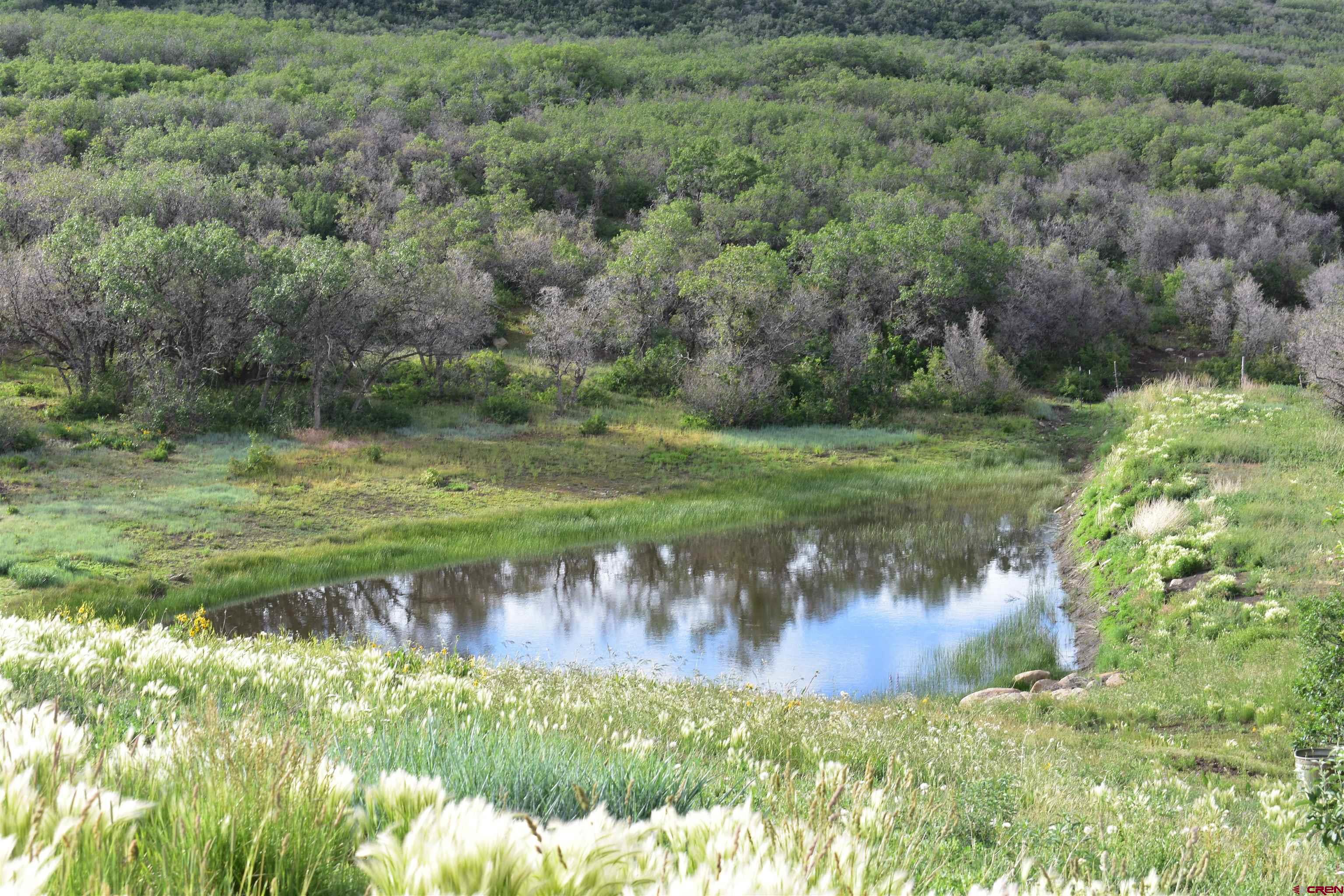 9723 Road 27.4 Dolores Co 81323 Norwood, CO 81423 - Photo 11 of 35 a view of a garden with a yard