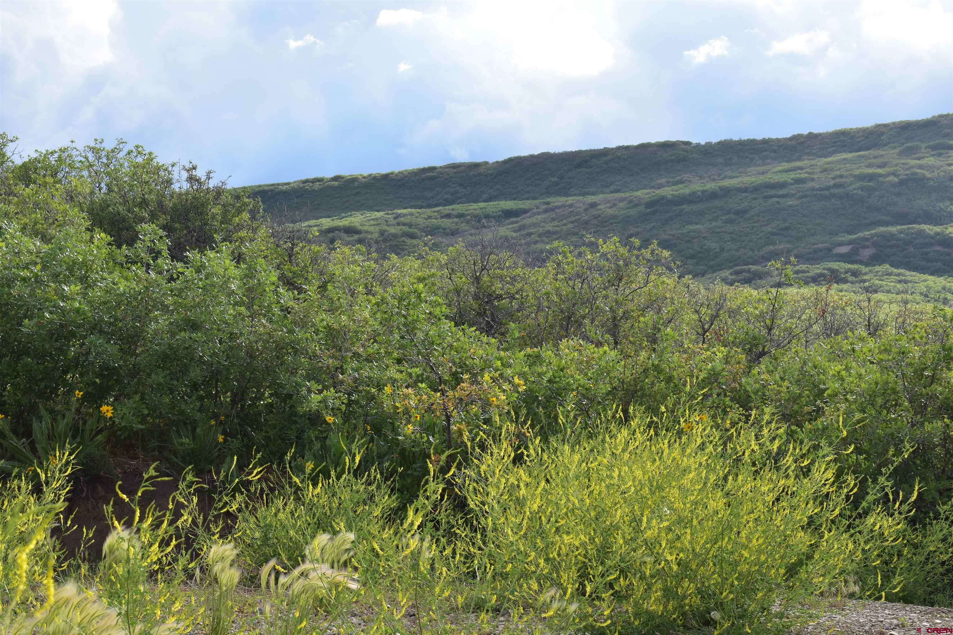 9723 Road 27.4 Dolores Co 81323 Norwood, CO 81423 - Photo 14 of 35 a view of mountain with lake view
