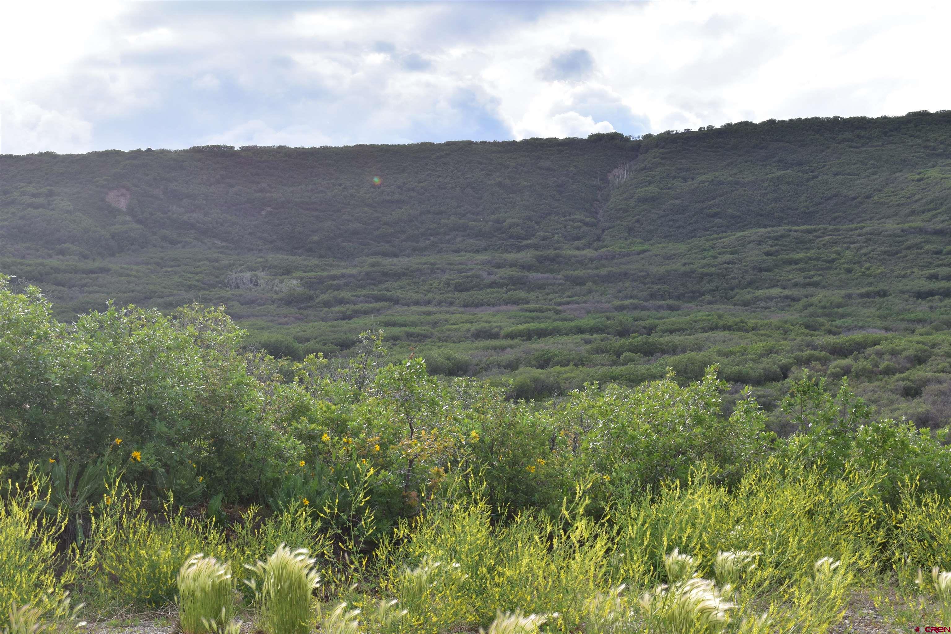 9723 Road 27.4 Dolores Co 81323 Norwood, CO 81423 - Photo 21 of 35 a view of a lush green hillside and a houses