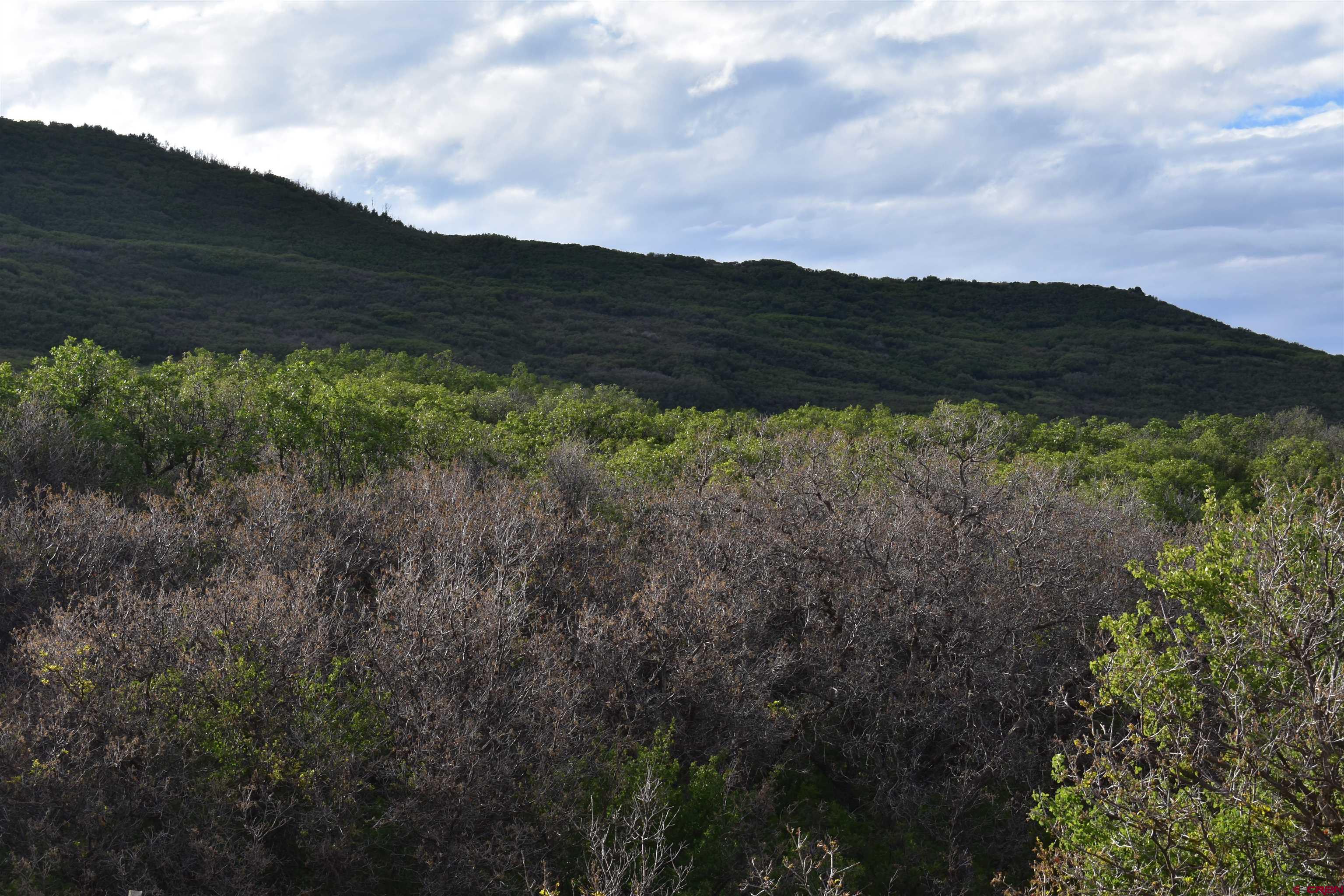 9723 Road 27.4 Dolores Co 81323 Norwood, CO 81423 - Photo 26 of 35 a view of mountains and valleys