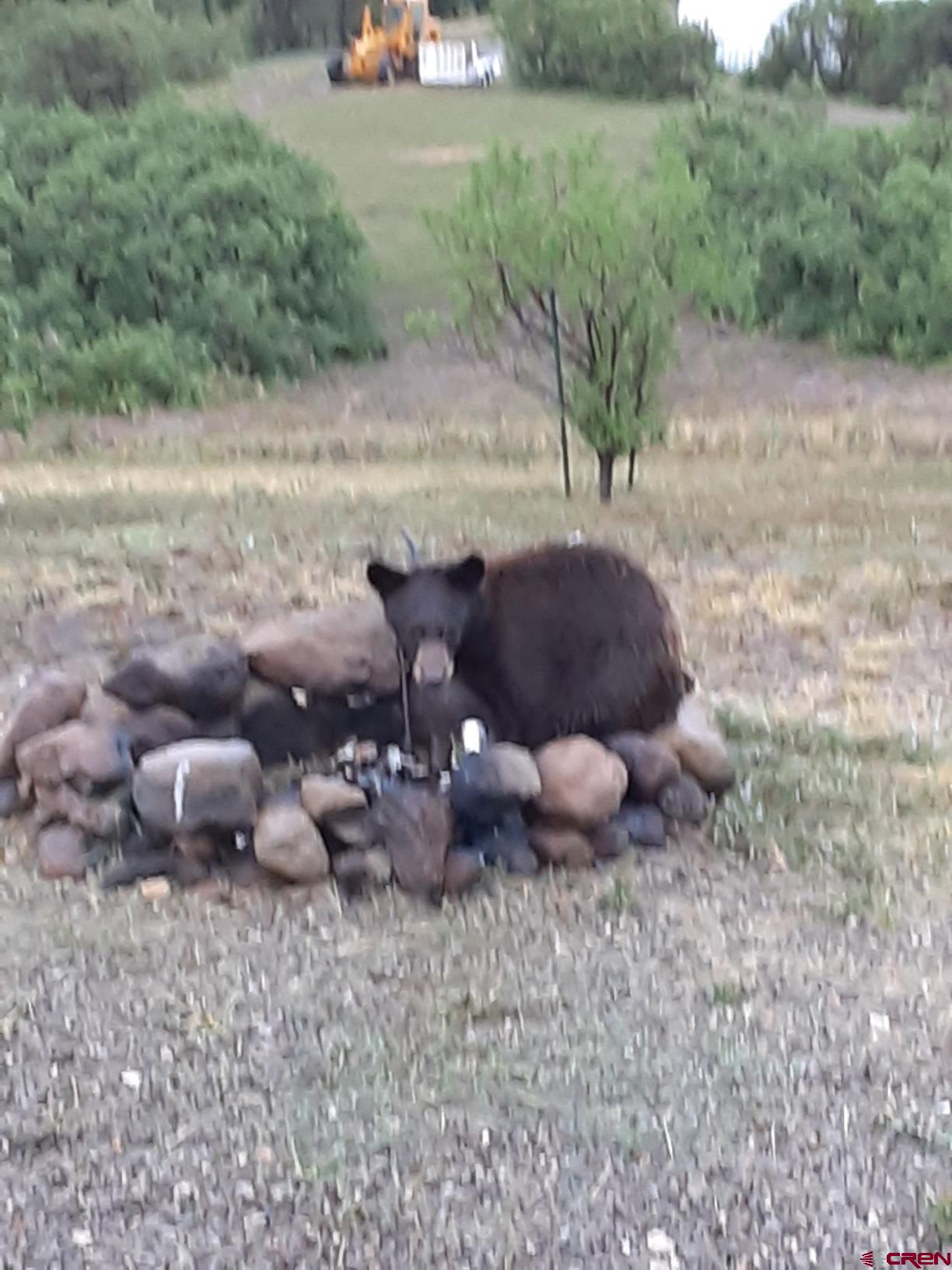 9723 Road 27.4 Dolores Co 81323 Norwood, CO 81423 - Photo 30 of 35 a view of an outdoor space and yard