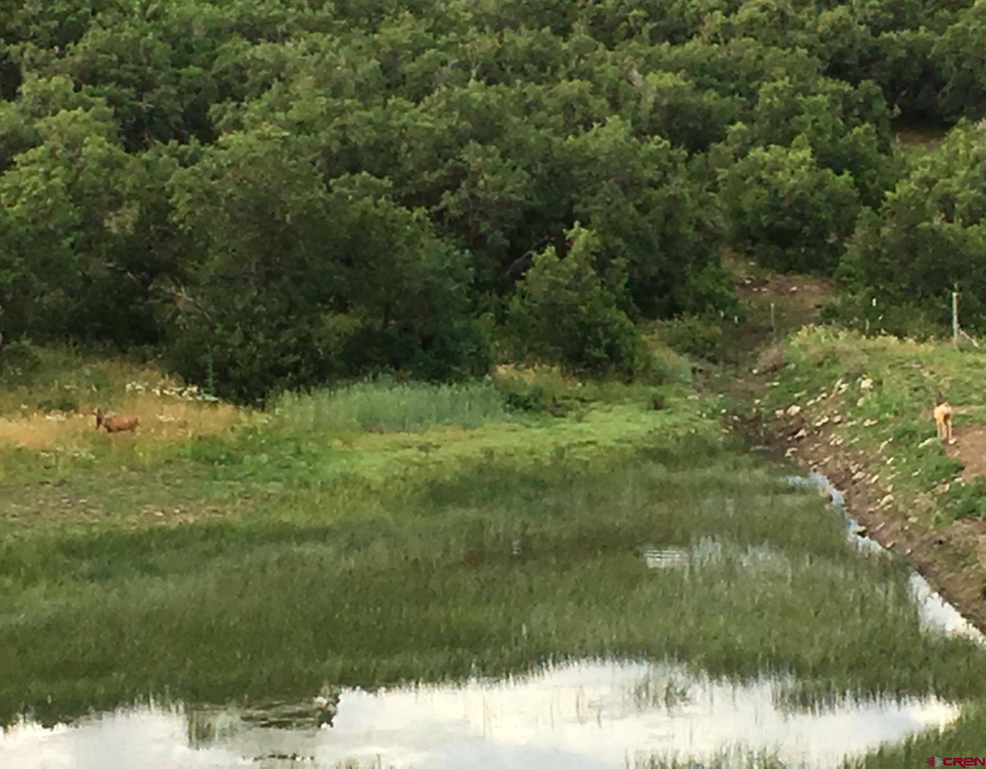 9723 Road 27.4 Dolores Co 81323 Norwood, CO 81423 - Photo 32 of 35 a view of a yard