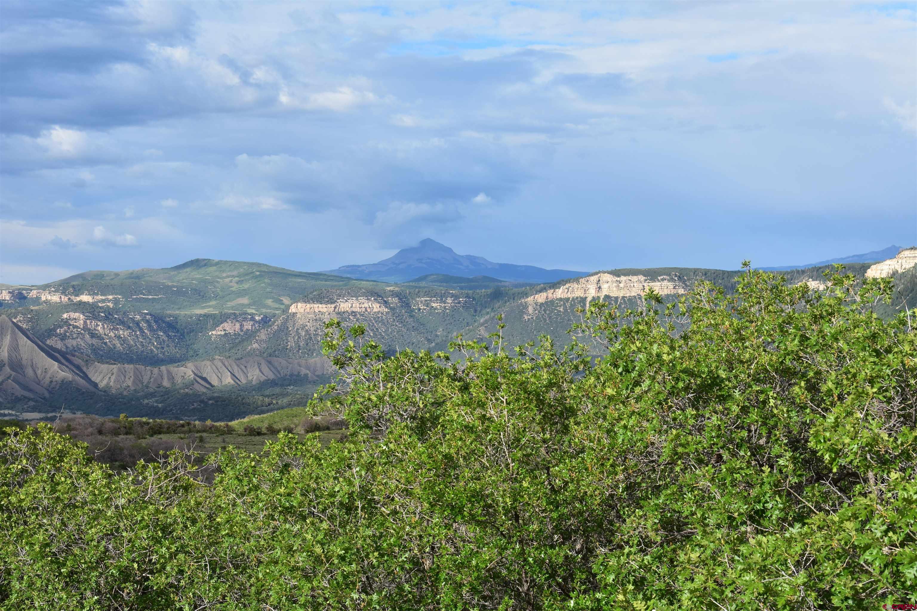 9723 Road 27.4 Dolores Co 81323 Norwood, CO 81423 - Photo 9 of 35 a view of a back yard