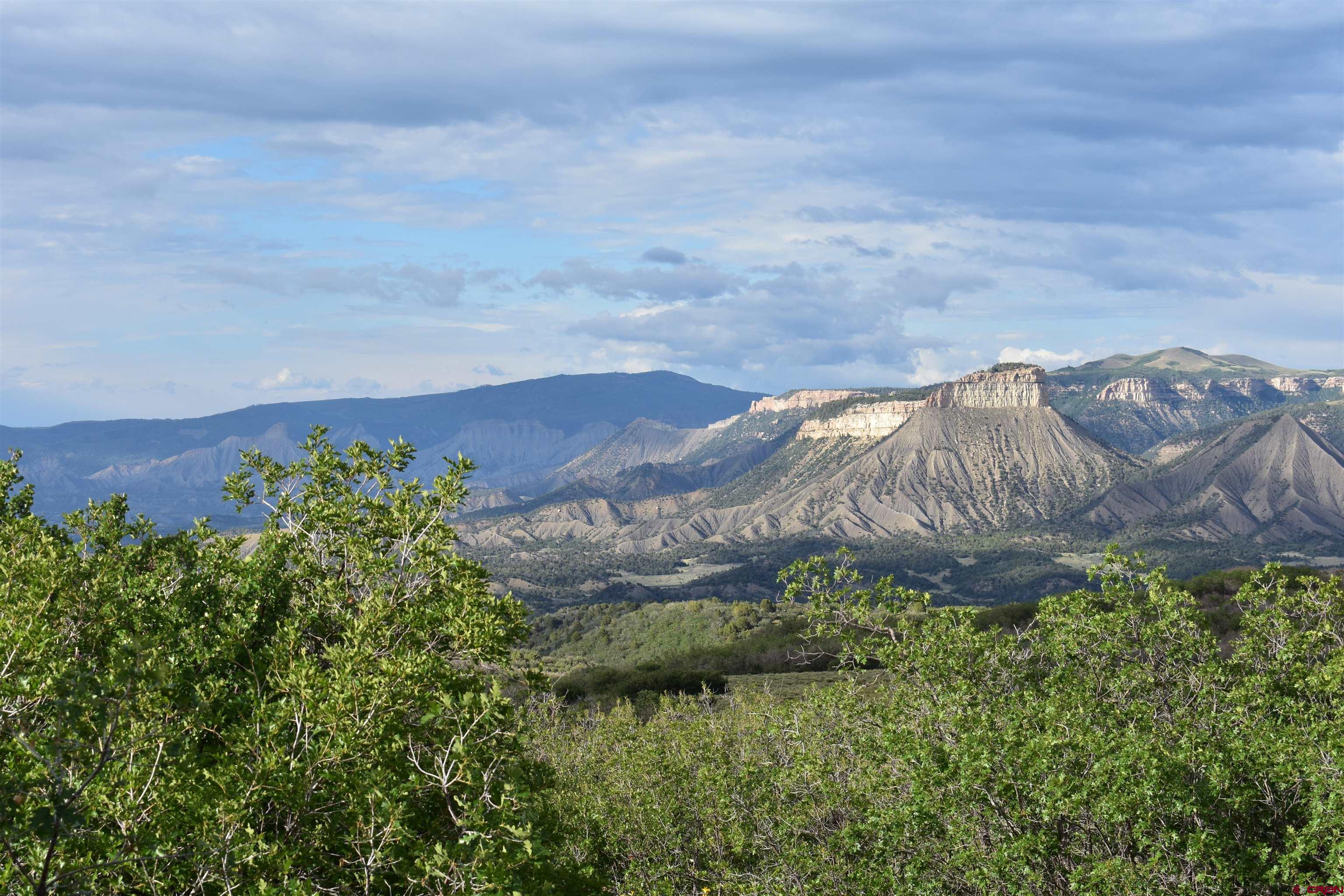 9723 Road 27.4 Dolores Co 81323 Norwood, CO 81423 - Photo 10 of 35 a view of a lush green field