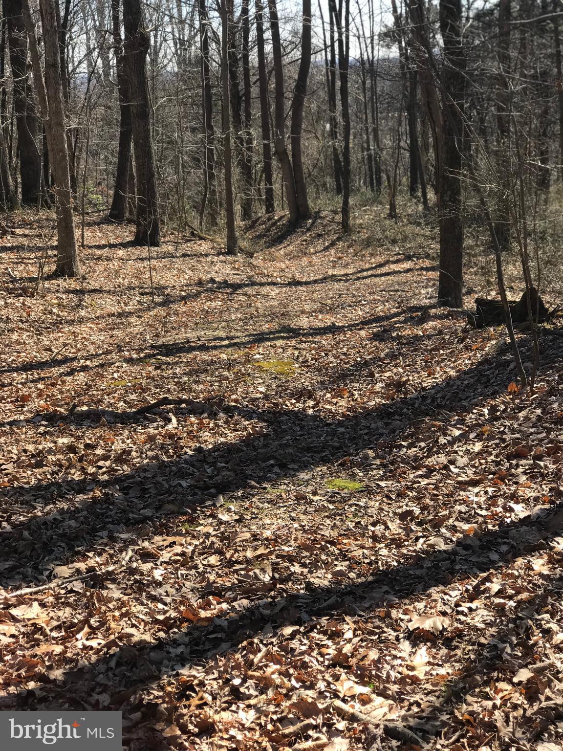 Castleton View Road Castleton, VA 22716 - Photo 2 of 11 Walking Trails