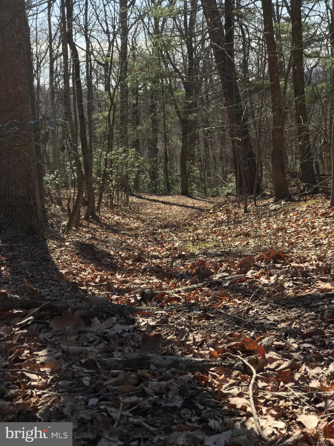 Castleton View Road Castleton, VA 22716 - Photo 4 of 11