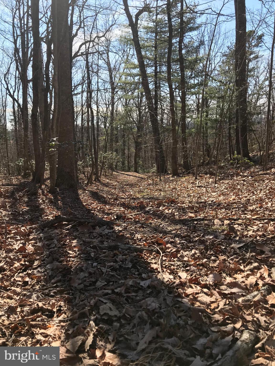 Castleton View Road Castleton, VA 22716 - Photo 5 of 11