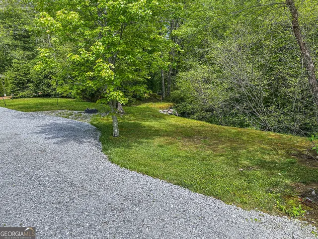 a view of a field with trees