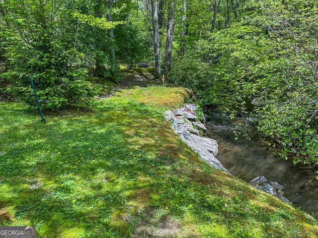a view of a yard with plants and a trees