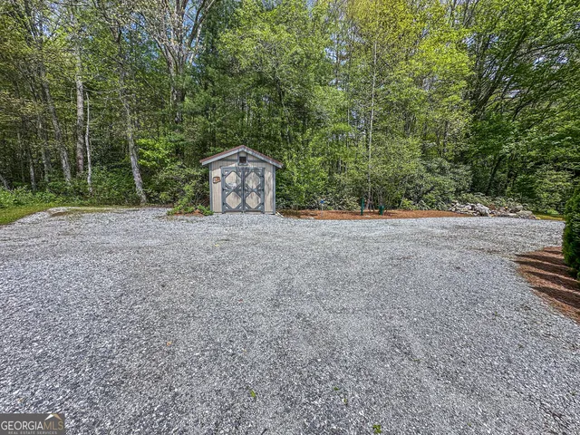a view of a field with plants and trees